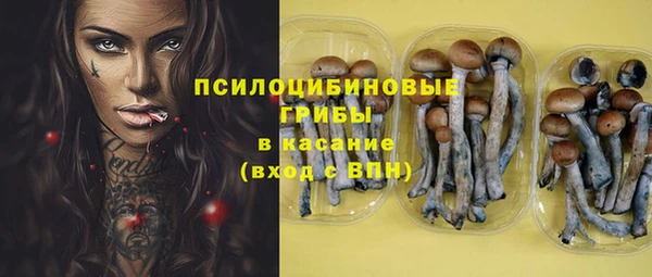 mix Верхний Тагил