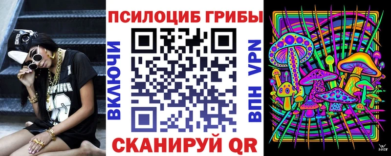 Галлюциногенные грибы Psilocybe Рыбинск